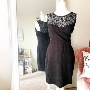 Black Lace Fitted Cocktail Dress
